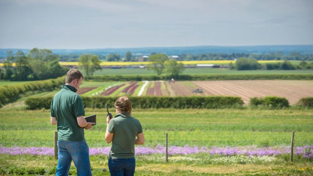 young-farmers-in-fieldCultura-REX-Shutterstock--615x346