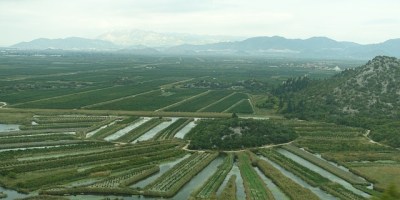 OPG Prović iz Opuzena: Projekt nabave poljoprivredne mehanizacije financiran puem mjere 6.1.1. Mladi poljoprivrednici 2017.-2018.godine