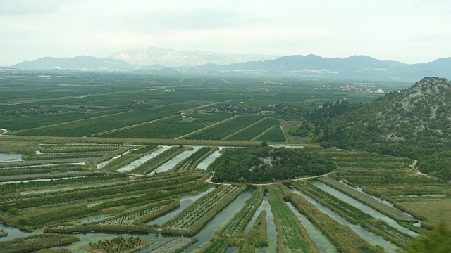 OPG Prović iz Opuzena: Projekt nabave poljoprivredne mehanizacije financiran puem mjere 6.1.1. Mladi poljoprivrednici 2017.-2018.godine