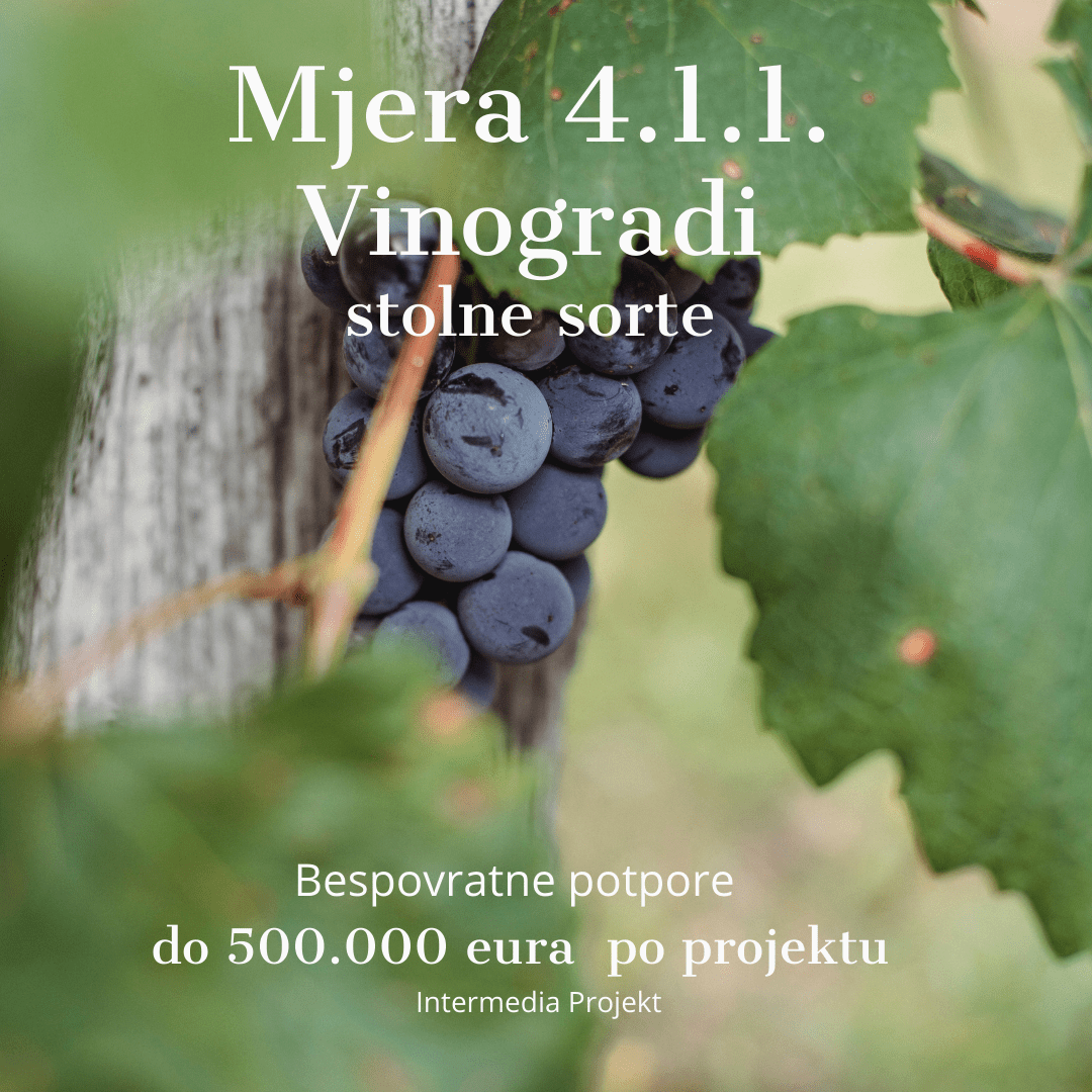 Mjera 4.1.1. Bespovratna sredstva za&nbsp;vinograde