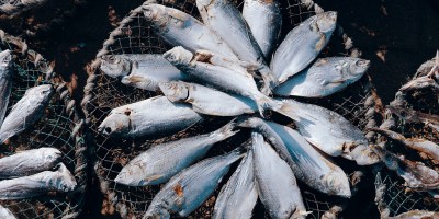 Ribarstvo i akvakultura 2021-2027