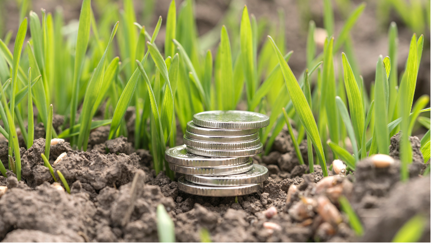 Mali zajmovi za ruralni razvoj