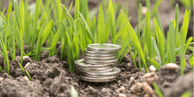 Mali zajmovi za ruralni razvoj