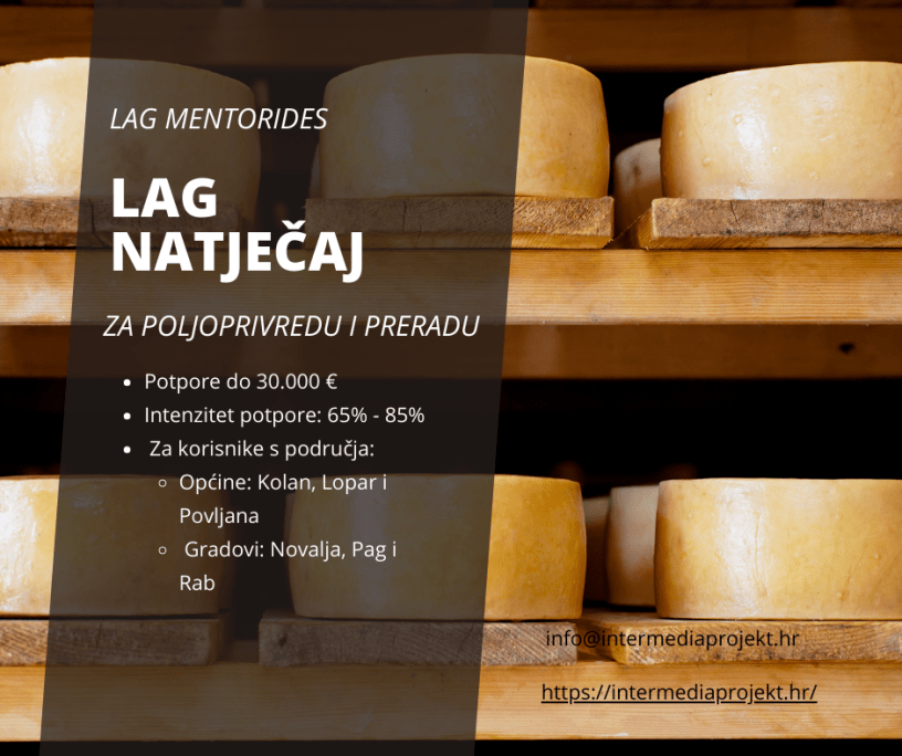 LAG Mentorides natječaj