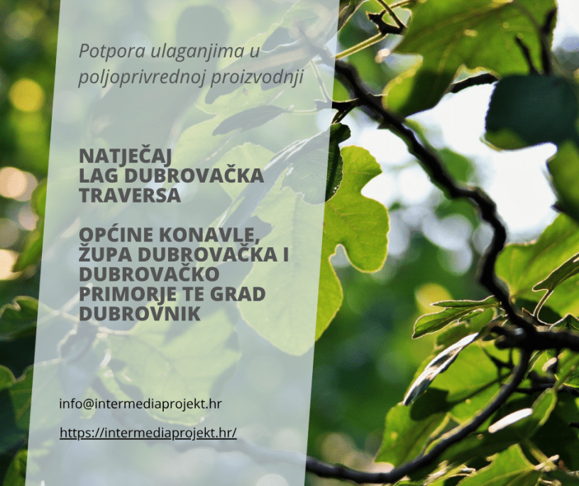 LAG Dubrovačka traversa Natječaj 2025