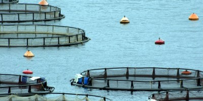 Produktivna ulaganja u akvakultutu 2025