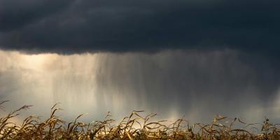 Obnova poljoprivrednog potencijala