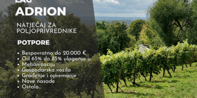 LAG Adrion 2025-2026